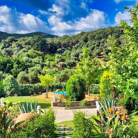 Villa Kalaitsidi - Plunge Pool, Gym And Unique Gardens Skinés 外观 照片